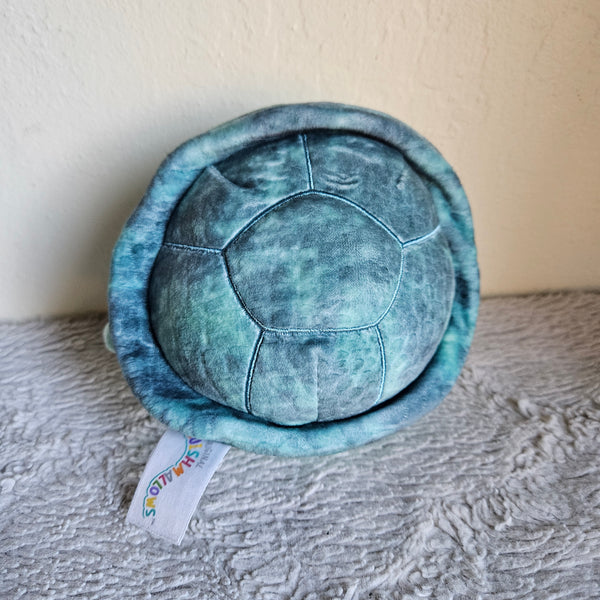Squishmallow - Cole the Sea Turtle - 4"